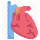 Enfermeria Hospital Clinica Icono
