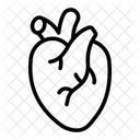 Corazon Humano Organo Icon