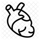 Corazon Organo Humano Organo Interno Icon