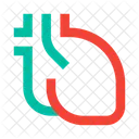 Corazon Organo Interno Icon