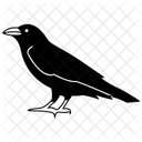 Corbeau Oiseau Noir Icône