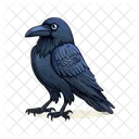 Oiseau Corbeau Animal Icône