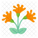 Corceum Lilies  Icon