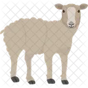 Cordeiro  Ícone