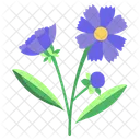 Coreopsis Flower Blossom Icon