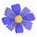 Coreopsis Flower Flowers Icon