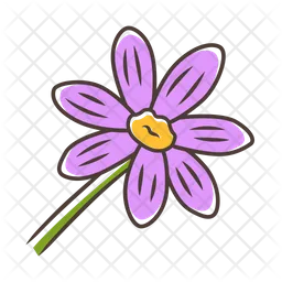 Coreopsis  Icon