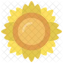 Mädchenauge Blume  Icon