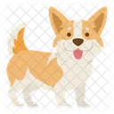 Corgi Dog Puppy Icon