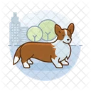 Corgi Dog Icon