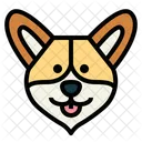 Corgi Dog  Icon