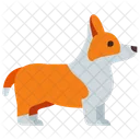 Corgi Animal Dog Icon