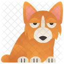 Corgi  Ícone