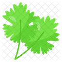 Coriander Parsley Leafy Icon