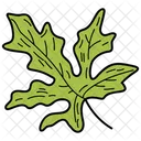 Coriander Leaf Leaf Foliage Icon