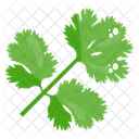 Coriander Leaves Eco Leaves Icon