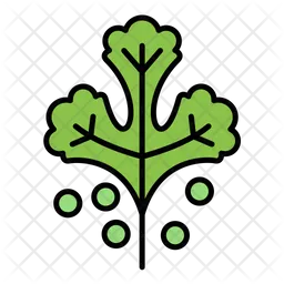 Coriander  Icon