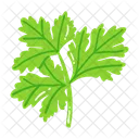 Leaf Ash Leaf Beech Leaf Icon