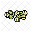 Coriander Food Herb アイコン