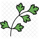 Coriander Coriander Leaf Food 아이콘