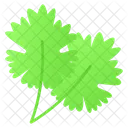Coriander Parsley Leafy 아이콘