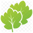 Coriander Leaves Vector Leaves Leaves Logo Icon