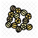 Coriander Seeds Ayurvedic Icon