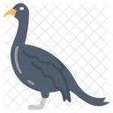 Cormorant Bird Aquatic Bird Icon