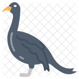 Cormorant  Icon