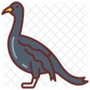 Cormorant Bird Aquatic Bird Icon