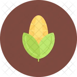 Corn  Icon