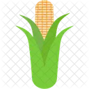 Cob Corn Corncob Icon