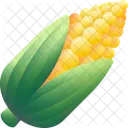 Corn Food Healthy Icon
