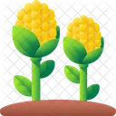 Corn Food Healthy Icon