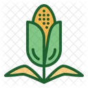 Corn Corn Farm Corn Farming Icon