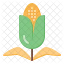 Corn Corn Farm Corn Farming Icon
