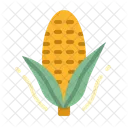 Corn Food Organic Icon