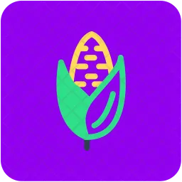 Corn  Icon