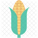 Maize Corn Sweet Icon