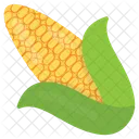 Corn Cob Maize Icon
