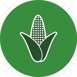 Corn  Icon