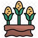 Corn Agriculture Harvest Icon