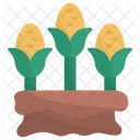 Corn Agriculture Harvest Icon