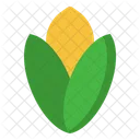 Corn Maize Plant Icon