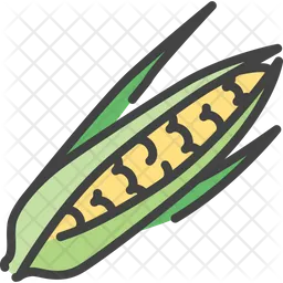 Corn  Icon