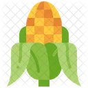 Corn Maize Corncob Icon