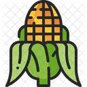 Corn Maize Corncob Icon
