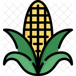 Corn  Icon