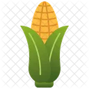 Corn Cob Grain Icon