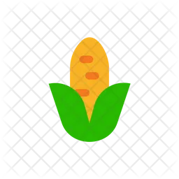 Corn  Icon